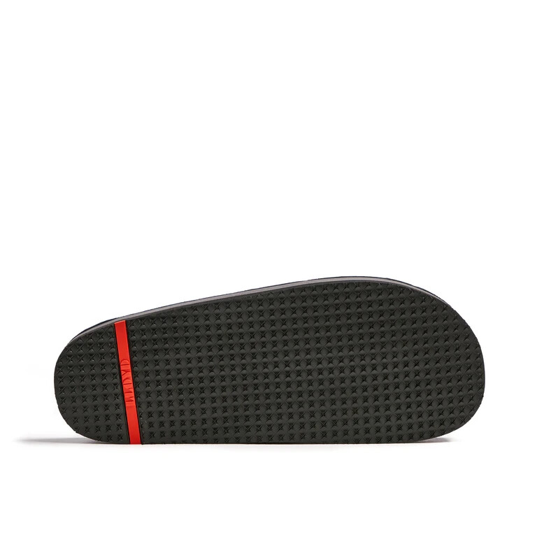 flip-flop