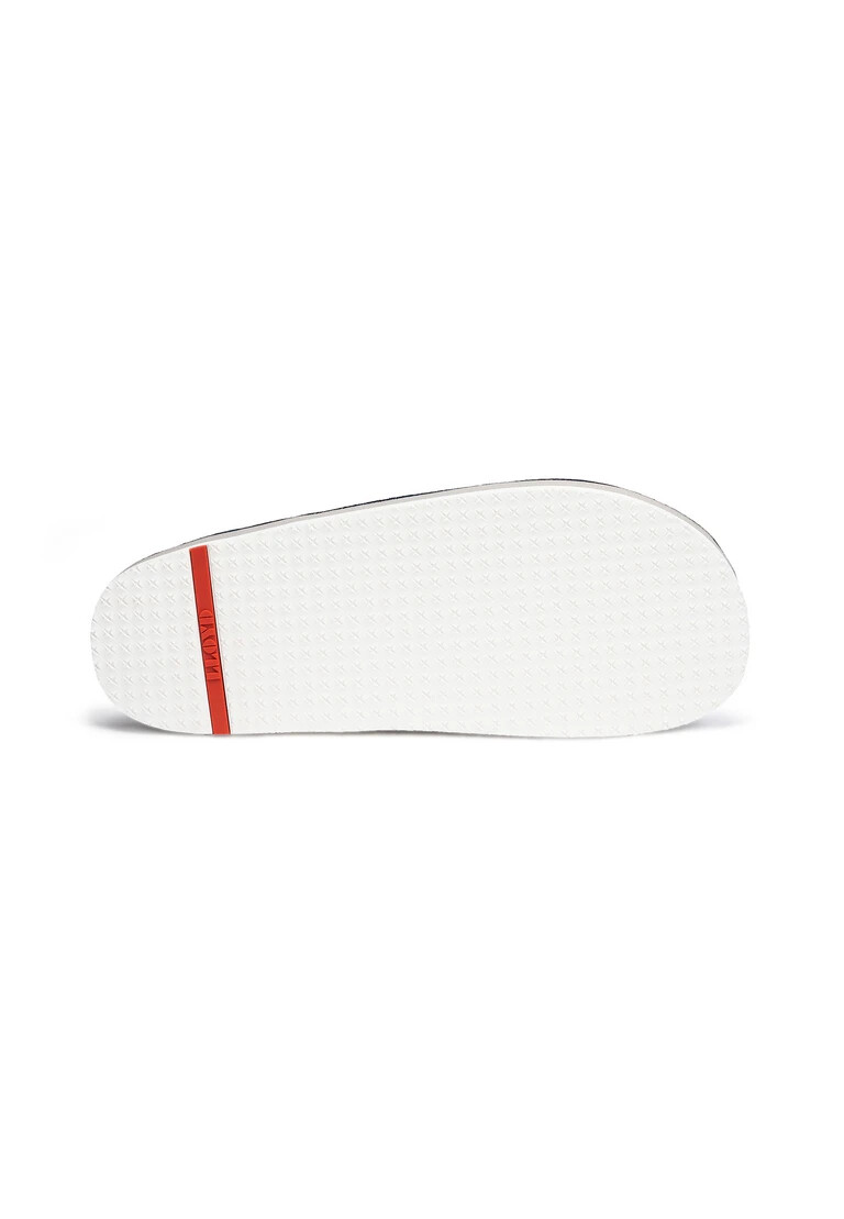 flip-flop